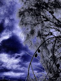 Low angle view of bare tree against cloudy sky