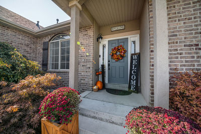 Potted plants outside house