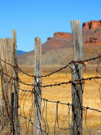 Barbed wire on barbed wire