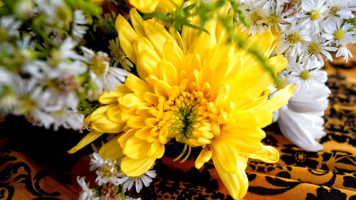 Close-up of yellow flowering plant