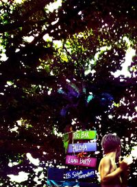 Low angle view of person holding tree