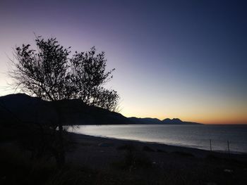 Silhouette trees by lake against sky during sunset