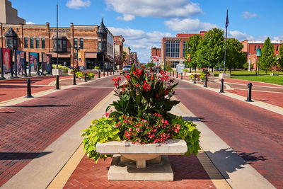 Trees and buildings in city