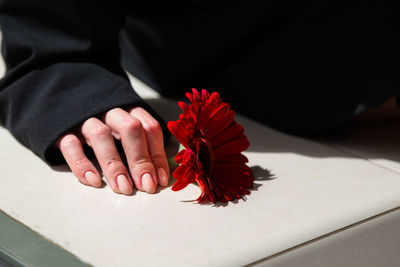 Cropped hand of woman holding flower