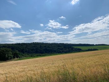 Scenic view of agricultural field against sky