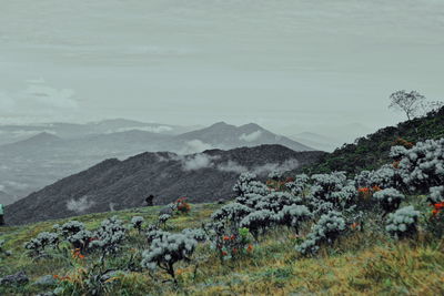 Scenic view of land and mountains against sky