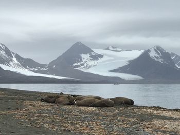 Scenic view of snowcapped mountains against sky