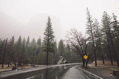 Wet road amidst trees against clear sky during winter at yosemite national park