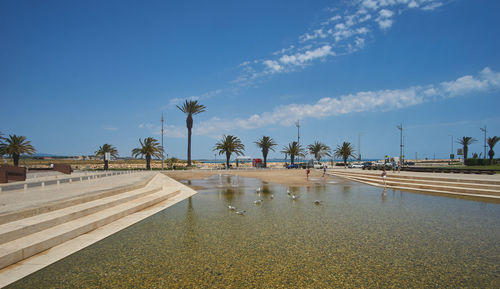 Palm trees on beach against blue sky