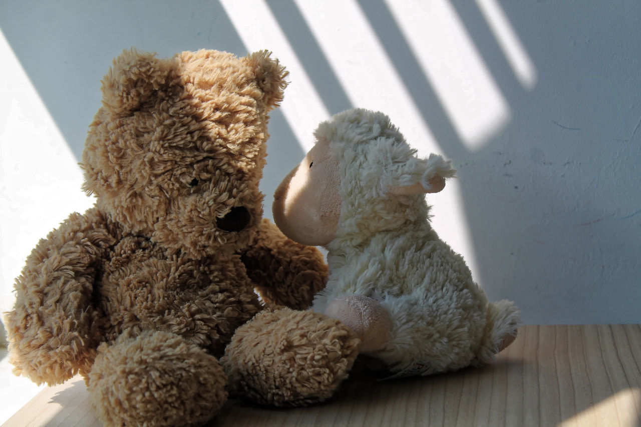 CLOSE-UP OF STUFFED TOY ON WOOD