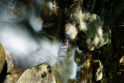 View of waterfall in forest