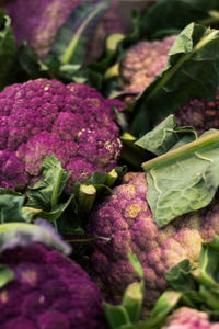 Full frame shot of purple flowers