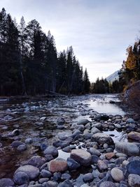 Pebbles in water against sky