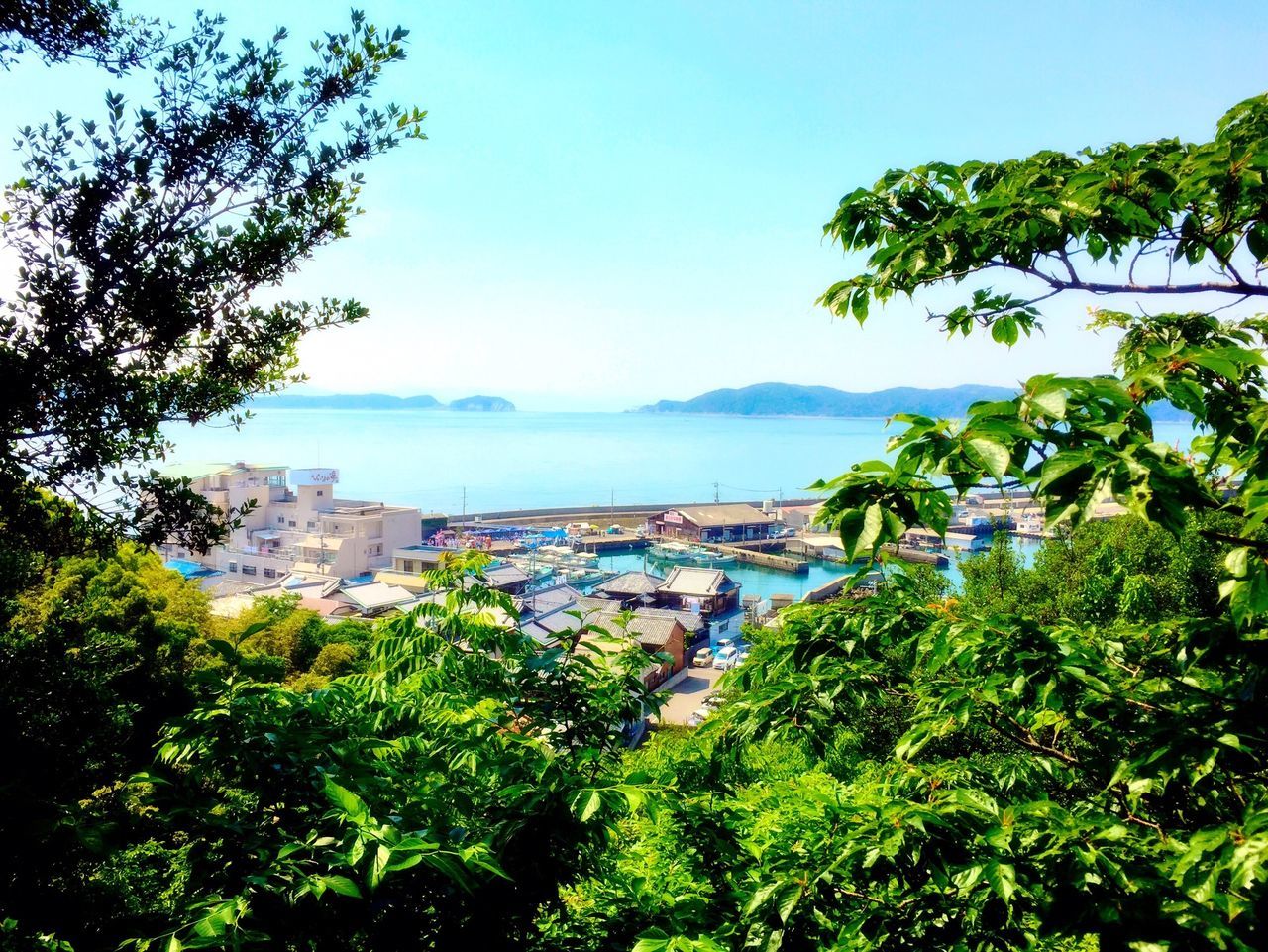 sea, water, tree, horizon over water, high angle view, building exterior, architecture, built structure, scenics, sky, nature, beauty in nature, tranquil scene, growth, tranquility, coastline, plant, green color, town, mountain