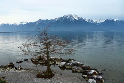 Scenic view of lake by snowcapped mountains against sky