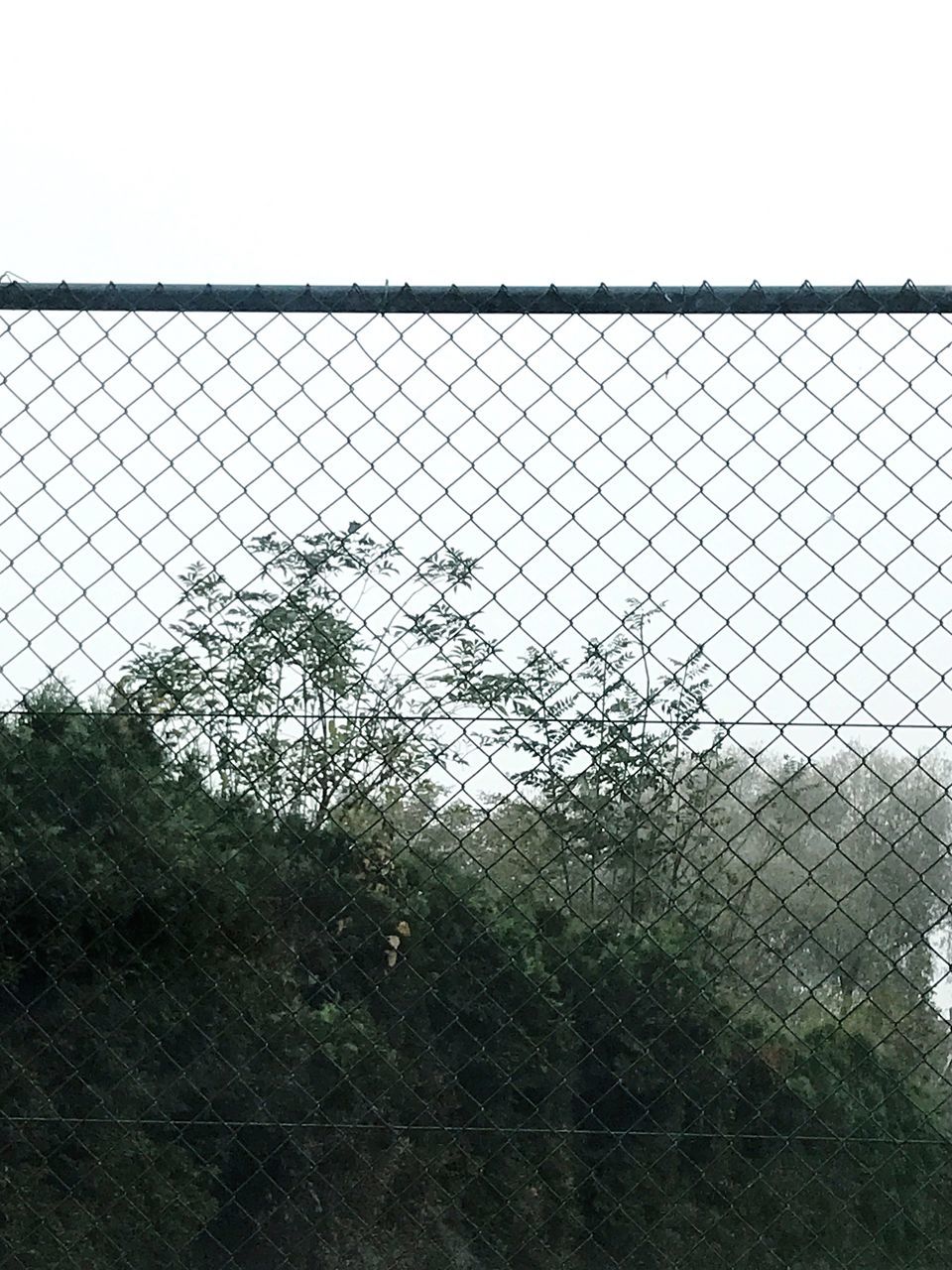 FENCE ON FIELD AGAINST CLEAR SKY SEEN THROUGH CHAINLINK