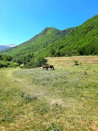 People walking on field against clear sky