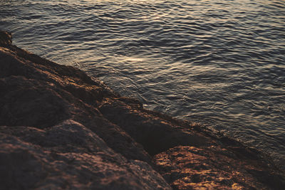 High angle view of rocks on beach