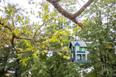 Low angle view of birdhouse on tree