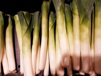 Close-up of vegetables for sale in market