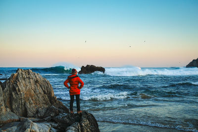 Rear view of man standing on rock at beach against sky