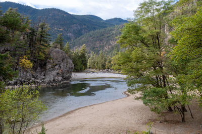 Scenic view of river amidst trees