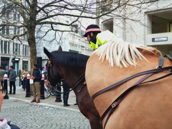 Man riding horse