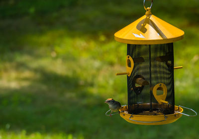 Close-up of a bird feeder