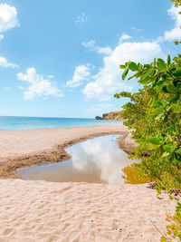 Scenic view of beach against sky