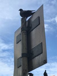 Low angle view of bird perching on building against sky