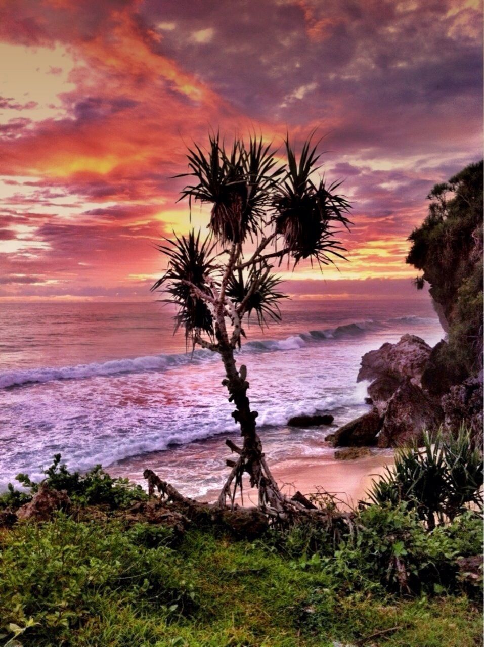 sea, horizon over water, palm tree, sunset, sky, water, scenics, beach, beauty in nature, tranquil scene, tranquility, tree, cloud - sky, nature, shore, idyllic, orange color, cloud, dramatic sky, silhouette