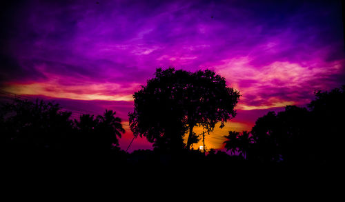 Silhouette trees on landscape against sky at sunset