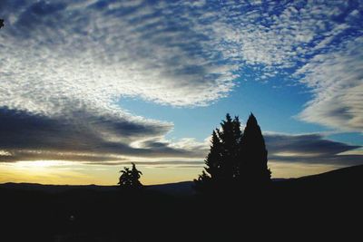 Silhouette trees against sky during sunset