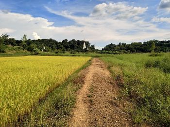 Scenic view of field against sky