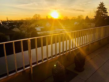 View of an plants against sunset sky