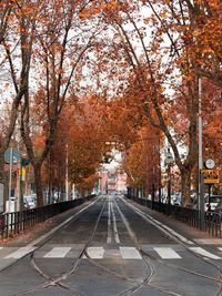 Road amidst trees during autumn