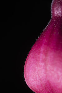 Close-up of black background