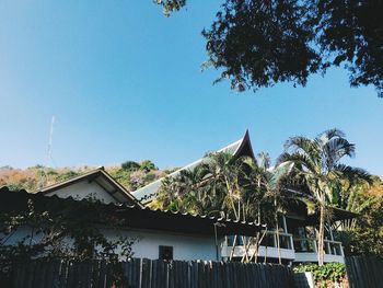 Low angle view of palm trees and building against sky