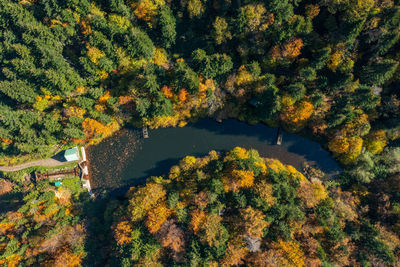High angle view of lake and picnic pavilion next to it surrounded with colorful trees in autumn