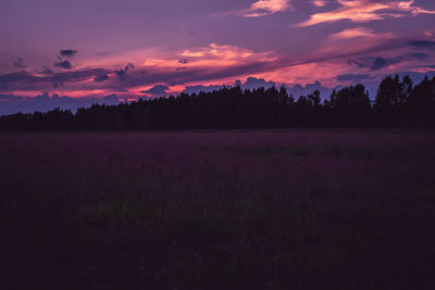 Silhouette trees on field against sky at sunset