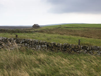 Scenic view of grassy field against sky