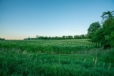 Idyllic shot of rural landscape against sky