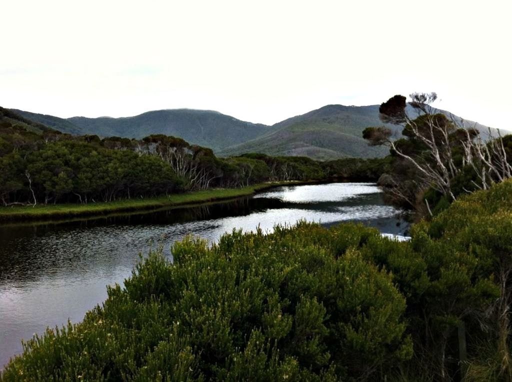 water, tranquil scene, mountain, tranquility, scenics, beauty in nature, clear sky, lake, nature, tree, mountain range, growth, landscape, green color, plant, river, idyllic, non-urban scene, reflection, sky