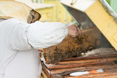 Beekeeper holding tray of honeycomb at park