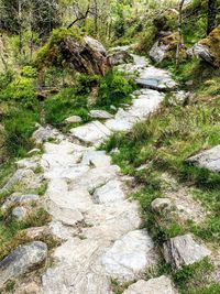 View of stream flowing through rocks