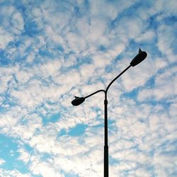 Low angle view of birds perching against cloudy sky