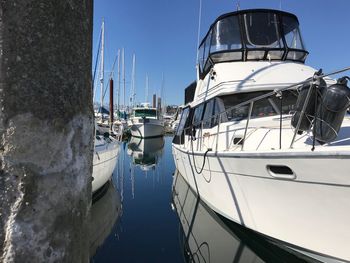 Sailboats moored at harbor against clear sky