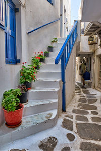 Greek mykonos street on mykonos island, greece