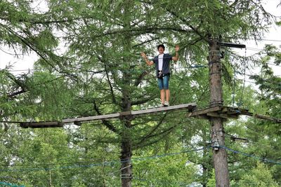 Low angle view of man standing by tree in forest