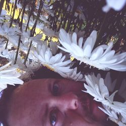 Close-up portrait of woman against white flowering plants